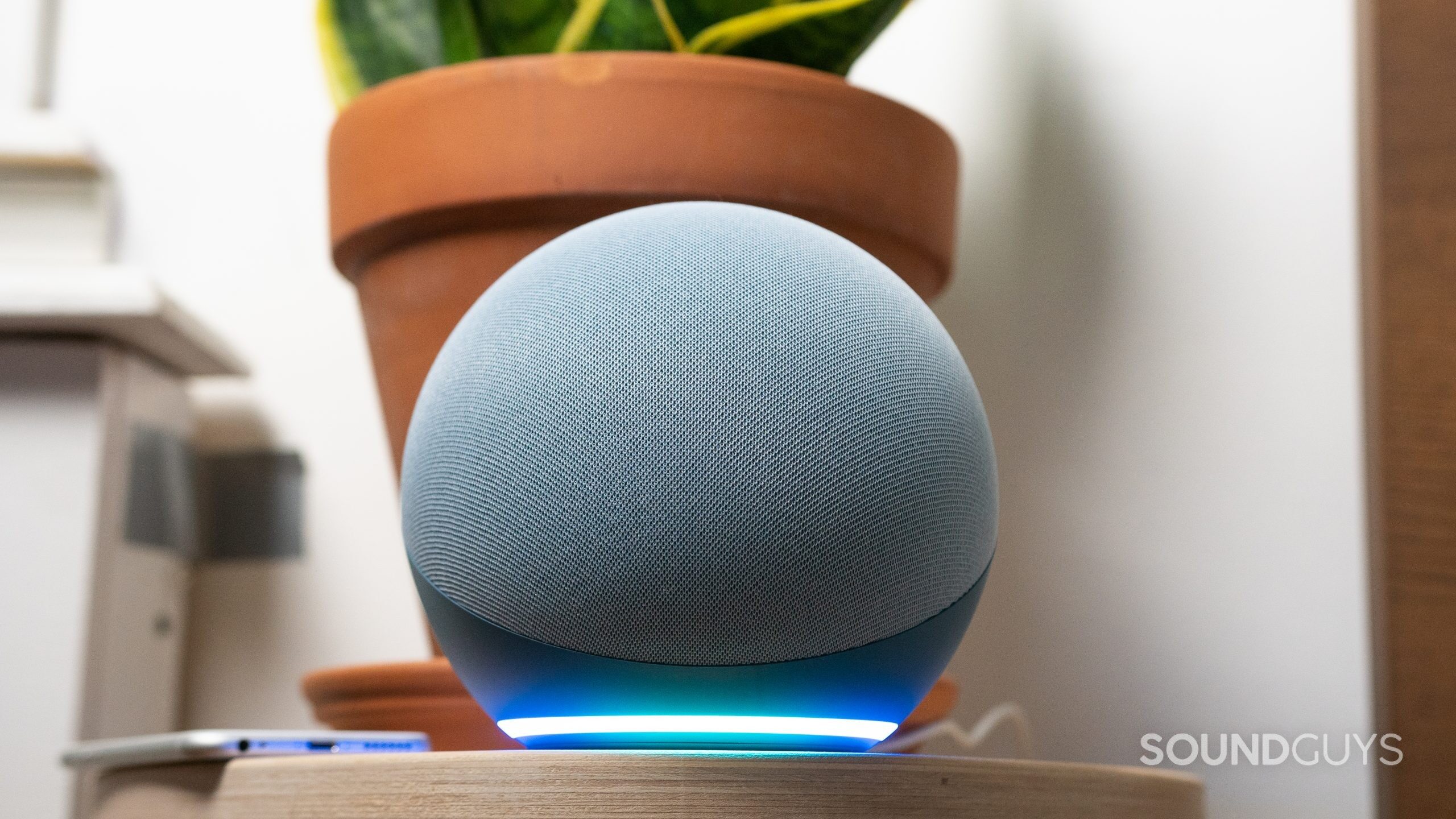 The Amazon Echo 4th gen with the light glowing and a snake plant in the background. 