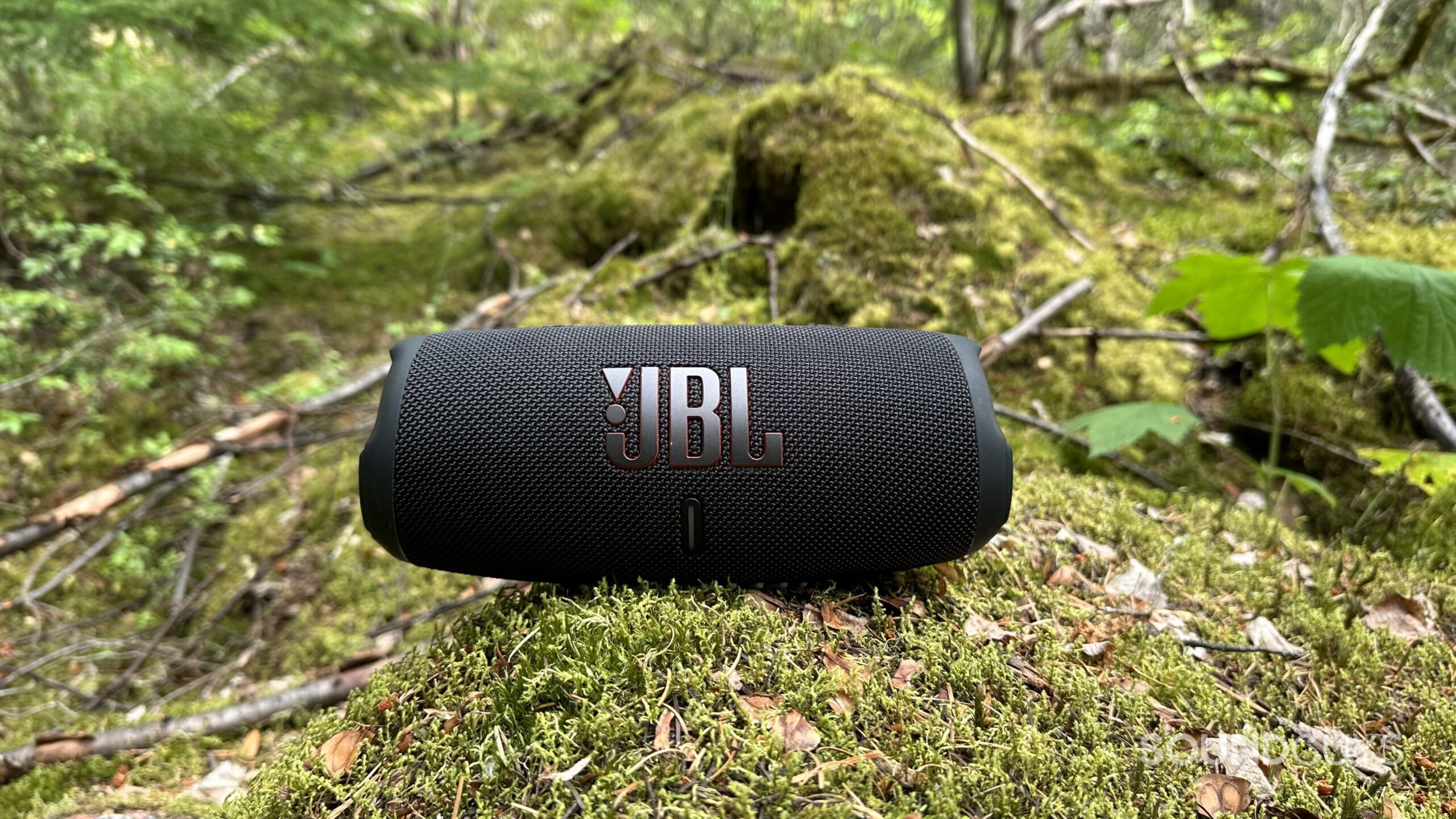 JBL Charge 5 speaker placed on some mossy rocks in a forest.